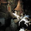 The Wizard Quest in Wisconsin Dells - Pictures and Photos