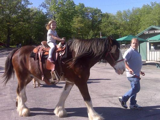 Horseback Riding Wisconsin Dells Fun....